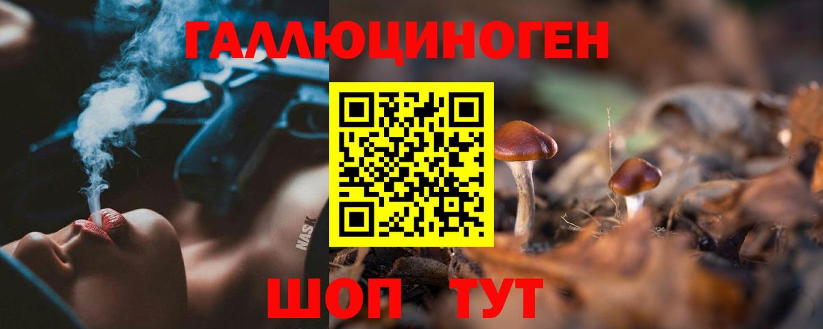 Псилоцибиновые грибы Psilocybe Сыктывкар